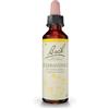Bach scleranthus n° 28 20ml