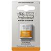 Winsor & Newton WN PWC 1/2 GODET - Ocra Bruno