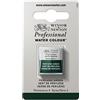 Winsor & Newton Professional - Vernici ad acquerello, vivaci e resistenti alla luce, pigmenti per artisti, 1/2 GODET, colore: Verde Di Perilene