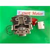 KAWASAKI JAPAN PARTS KIT CILINDRO E PISTONE PER DECESPUGLIATORE KAWASAKI TJ 35 TJ 35 E NUOVO