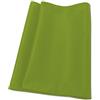 IDEAL 7310006 - Rivestimento filtro in tessuto, purificatore d'aria AP30/40 Pro, colore: Verde