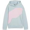 PUMA Felpa con Cappuccio Unisex Power Colorblock TR G Sweat