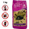 Kollant Insetticida per Formiche e Insetti Striscianti in Polvere Microgranulare 1 Kg