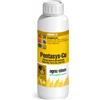 Agrisystem PENTASYS-CU Concime idrorame solfato rame pentaidrato 1,2 KG