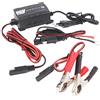 everActive CBC-1 Caricabatterie per Batteria Auto Microprocessore 6 V 12 V