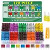 Bolatus 170Pcs Mini Fusibili Auto Assortiti 2A 3A 5A 7.5A 10A 15A 20A 25A 30A 35A 40A Fusibile per Camper, Auto, Camion, Moto + Estrattori