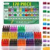 Bolatus Kit 170 Pezzi Fusibili Auto, 60 Medi + 110 Mini + Estrattori per Camper/Camion/Moto (2A 3A 5A 7.5A 10A 15A 20A 25A 30A 35A 40A)
