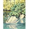 QUADRO CANOVACCIO MEZZO PUNTO PICCOLO DA RICAMARE 24 x 30 " CIGNI "