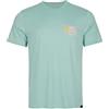 O'Neill T-Shirt Manica Corta Storm Tees, Uomo, 16015 Falda acquifera, S/M