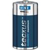 LINK Tecxus 23637 LR20/D (Mono) - batteria al manganese alcalino 1 5 V