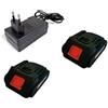 Kit 2 Batteria 24V + Caricabatterie per Mini Sega Elettrica Motosega Caricare