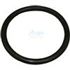 AstralPool O-Ring Guarnizione Faro Lampada Standard 300W 110x11 AstralPool Pool 4403010304
