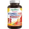Equilibra Integratori Alimentari, Vitamina C 1000 mg, Integratore Altodosato per la Normale Funzione del Sistema Immunitario, Rilascio Graduale Fino a 6 Ore, Vegan, Gluten Free, 90 Compresse