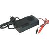 ALCAPOWER / EXTRACELL / JOIN CARICABATTERIE 24V 3A BATTERIE PIOMBO AGM CARROZZINA BICI MONOPATTINO AP24V3 VLR