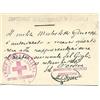 1916 CROCE ROSSA ITALIANA OSPEDALE TERRITORIALE N1 LUCCA
