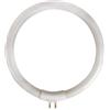 Velleman Tubo fluorescente T4 12W, bianco freddo 6500K, 720 lumen, lampada di ricambio rotonda per lampada con lente, luce da lavoro senza sfarfallio per lavori di precisione ed elettronica