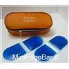 Borsa Termica FRIGO per INSULINA portatile in Auto da Viaggio NO elettrico 12V