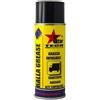 Startech Grasso alla grafite, grasso infusibile HT, bomboletta spray da 400ML