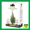 Cifo CONCIME PIANTE VERDI SIEPI CIFO SPECIALE CYCAS 600GR IDROSOLUBILE GIARDINO
