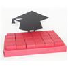 TORTA 24 SCATOLINE LAUREA BOMBONIERE FAI DA TE 30X21 CM SCATOLETTA 5X5X5 CM