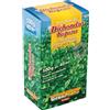 L'Ortolano Semi Dichondra Repens 1KG - Varietà a rapido insediamento, resistente al caldo
