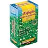 L'Ortolano Semi Prato Trifoglio Bianco Nanissimo perenne,varietà a rapida germinazione 500g