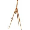 CWR Cavalletto Treppiede Dealer Rowney Da Campagna Per Dipinti Su Tela 96x96x192 Cm