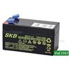 Batteria Skb Sk12, Confronta prezzi