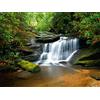 AG Design FTS 0478 Photo Wall Mural, Multicolore, 360 x 254