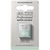 Winsor & Newton Professional - Vernici ad acquerello, vivaci e resistenti alla luce, pigmenti per artisti, 1/2 GODET, colore: Terra Verde