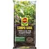 Compo Terriccio Piante Verdi Di Qualità COMPO SANA - Monstera, dracaena, yucca e altre