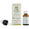 Fragranteria Eucalipto Olio Essenziale Puro 10ml