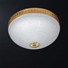 Plafoniera classica in ottone oro e vetro a 2 luci BGA 3471-pl30