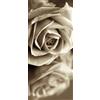 AG Design - Photo Wall Mural - Non Tessuto - Rosa Seppia - Foto Sfondo - Poster Gigante con Parete - 90 x 202 cm - 1 Parte - FTNV 2894