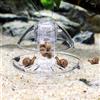 Serbatoio per piante d'acquario Catcher per trappola per lumache Scatola di