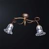 Plafoniera classica in ferro battuto e foglia oro 2 luci BGA 3479-pl2