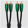 AUDIOQUEST EVERGREEN 2-Male RCA - 2-Male RCA 1MT NUOVO