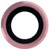 Apple Anello Vetrino Lente per Fotocamera Posteriore iPhone 6S Rosa