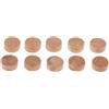10 pezzi Water Key Waterkey Spit Value Cork Pad per la riparazione del trombone