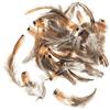 Glorex 6 3822 152 - Piume di Fagiano, Circa 5-12 cm, Come Materiale Artigianale e per la Decorazione, Sacchetto da 10 g