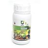 Cinogarden Olio di neem concentrato