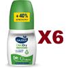 Sauber 6 PZ SAUBER DEODRY DEODORANTE ROLL ON PROTEZIONE LUNGA DURATA 48H 70ML FRESCO