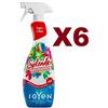 IGYEN 6 SPLENDEO IL PROFUMATORE IGIENIZZANTE GIARDINO DI ROSE CON ANTIBATTERICO 750ML