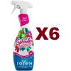 IGYEN 6 SPLENDEO IL PROFUMATORE IGIENIZZANTE BOUQUET DI FIORI CON ANTIBATTERICO 750M