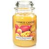 YANKEE CANDLE - Candela Profumata Mango Peach Salsa in Giara Grande da 623 gr
