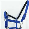 Nylon Capezza Cavallo Cavezza Regolabile Campo Sicuro Pony Cob Full Tutte le