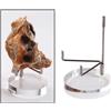1PC Acrilico Espositore Scaffale Base Rotonda per Minerali Agata Pietre Gioielli