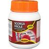 Bauchem SGORGA FACILE Disotturante Rapido Granulare 500 gr
