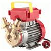 Rover Elettropompa pompa elettrica travaso liquidi ROVER 25 CE acqua vino olio