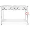 HENDI Grill a gas Grill-Master Quattro, cucina, griglia per barbecue, a gas propano e butano, accensione elettronica, 22kW(Hs), 1270x525x(H)840mm, acciaio inox 18/0